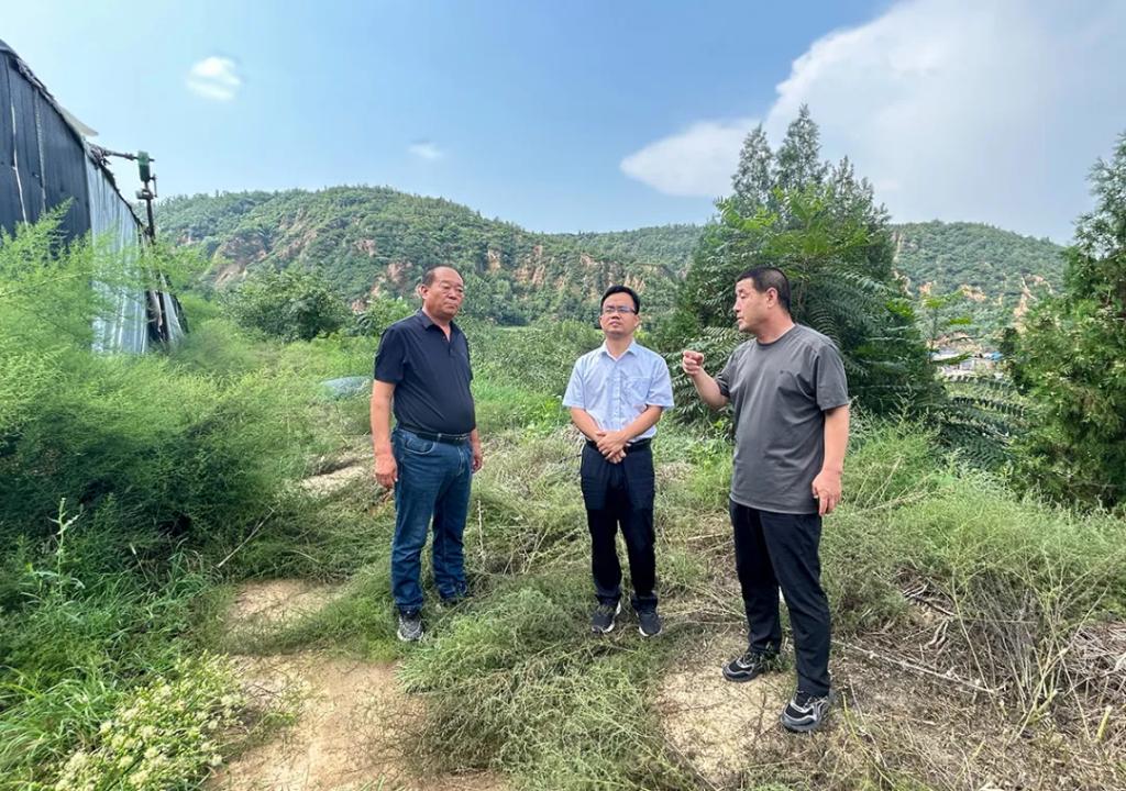 凯发一触即发(中国区)官方网站