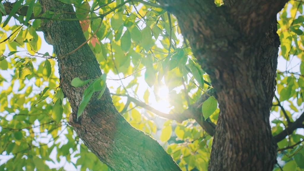 凯发一触即发(中国区)官方网站