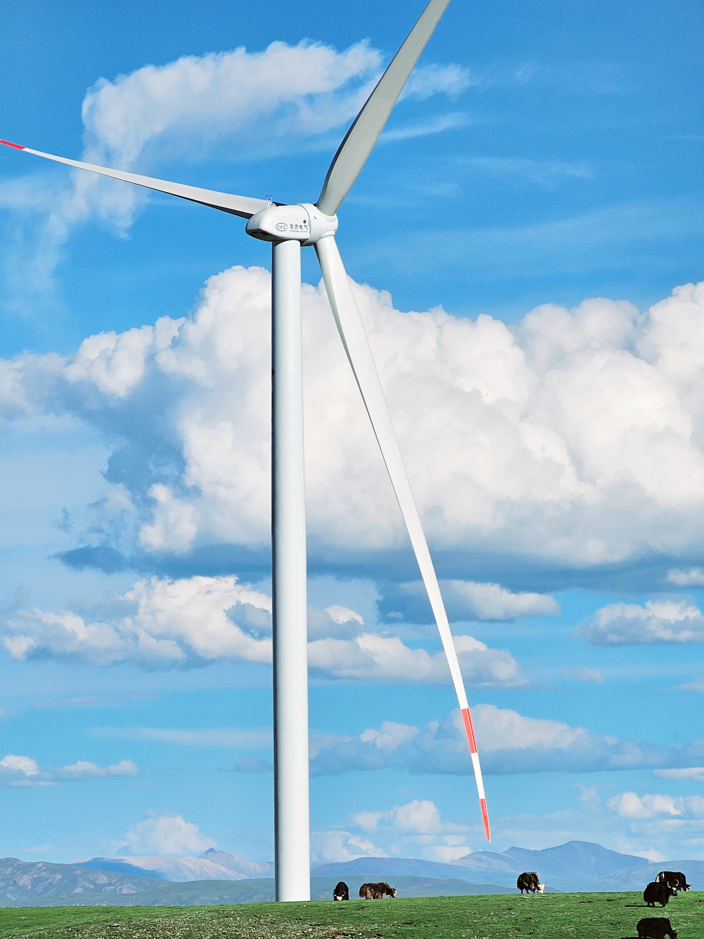 1698894070011045202.jpg 凯发一触即发(中国区)官方网站