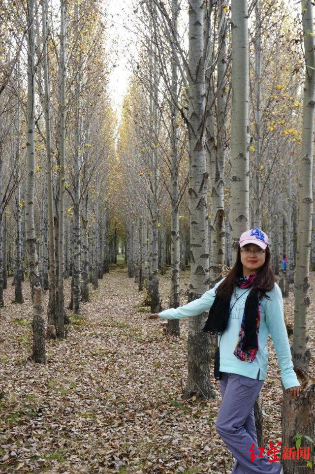 与成都，向未来 | 成都首批“产业建圈强链人才计划”入选者董娜：12年青春，同“城”发展