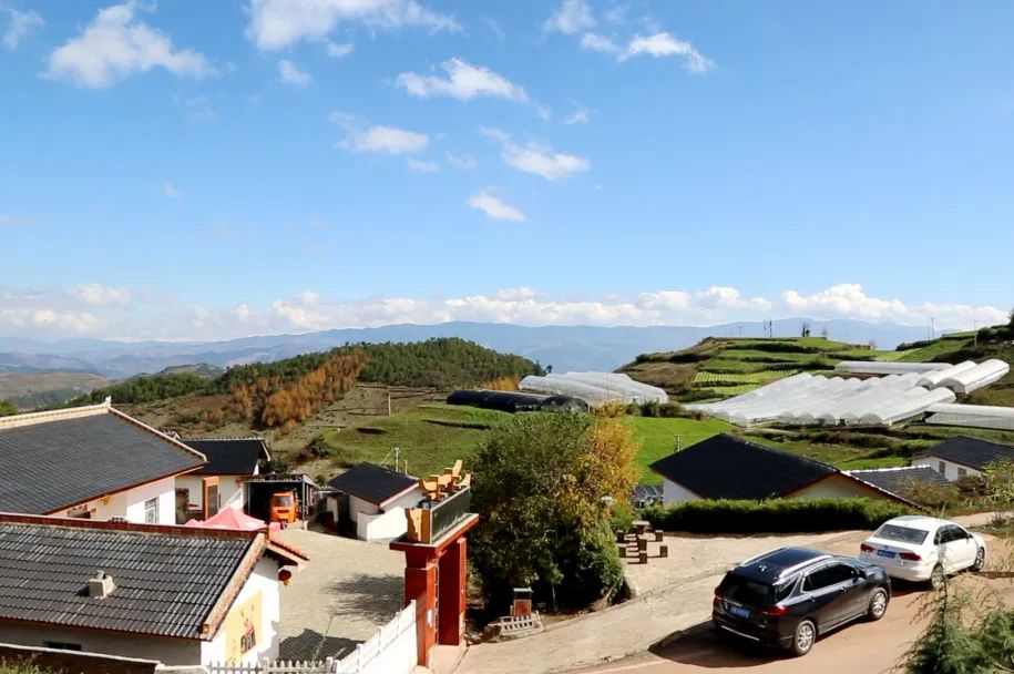 凯发一触即发(中国区)官方网站