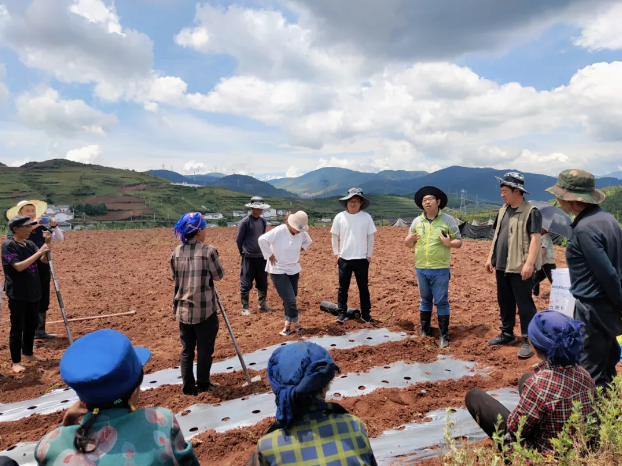 1724248497393347.png 44444444444444.png