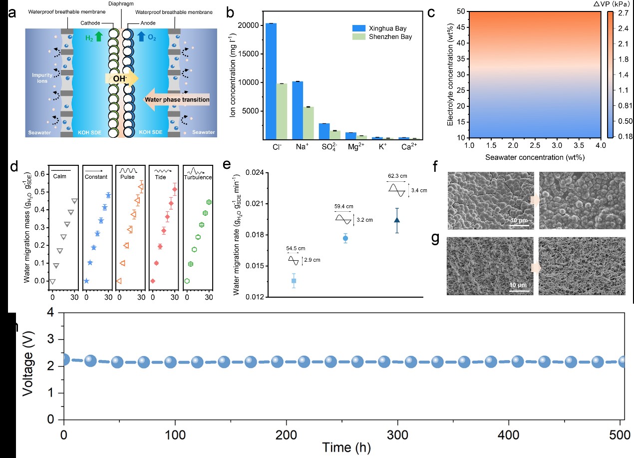 凯发一触即发(中国区)官方网站