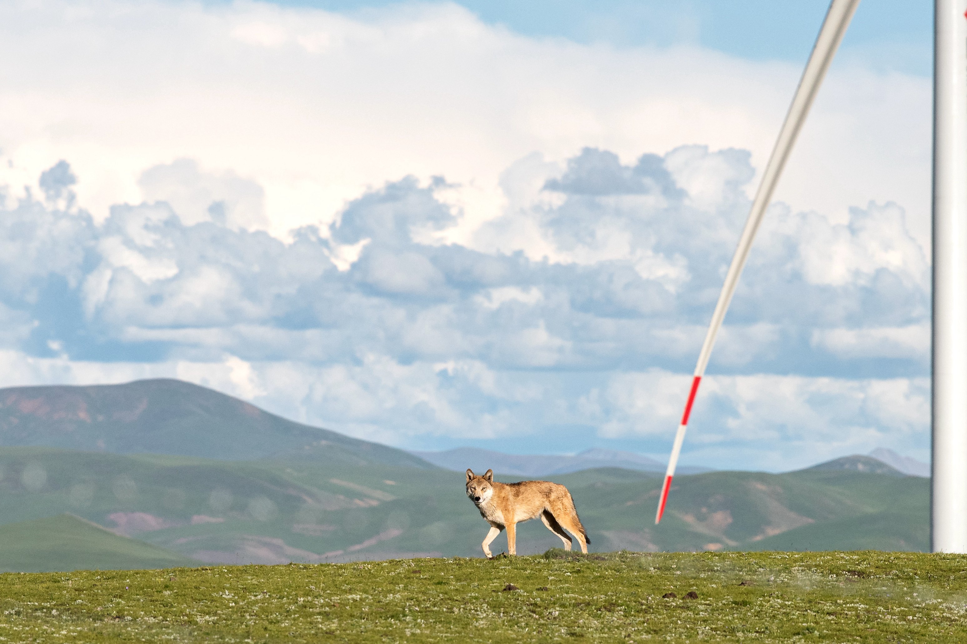 凯发一触即发(中国区)官方网站