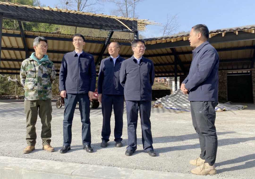 凯发一触即发(中国区)官方网站