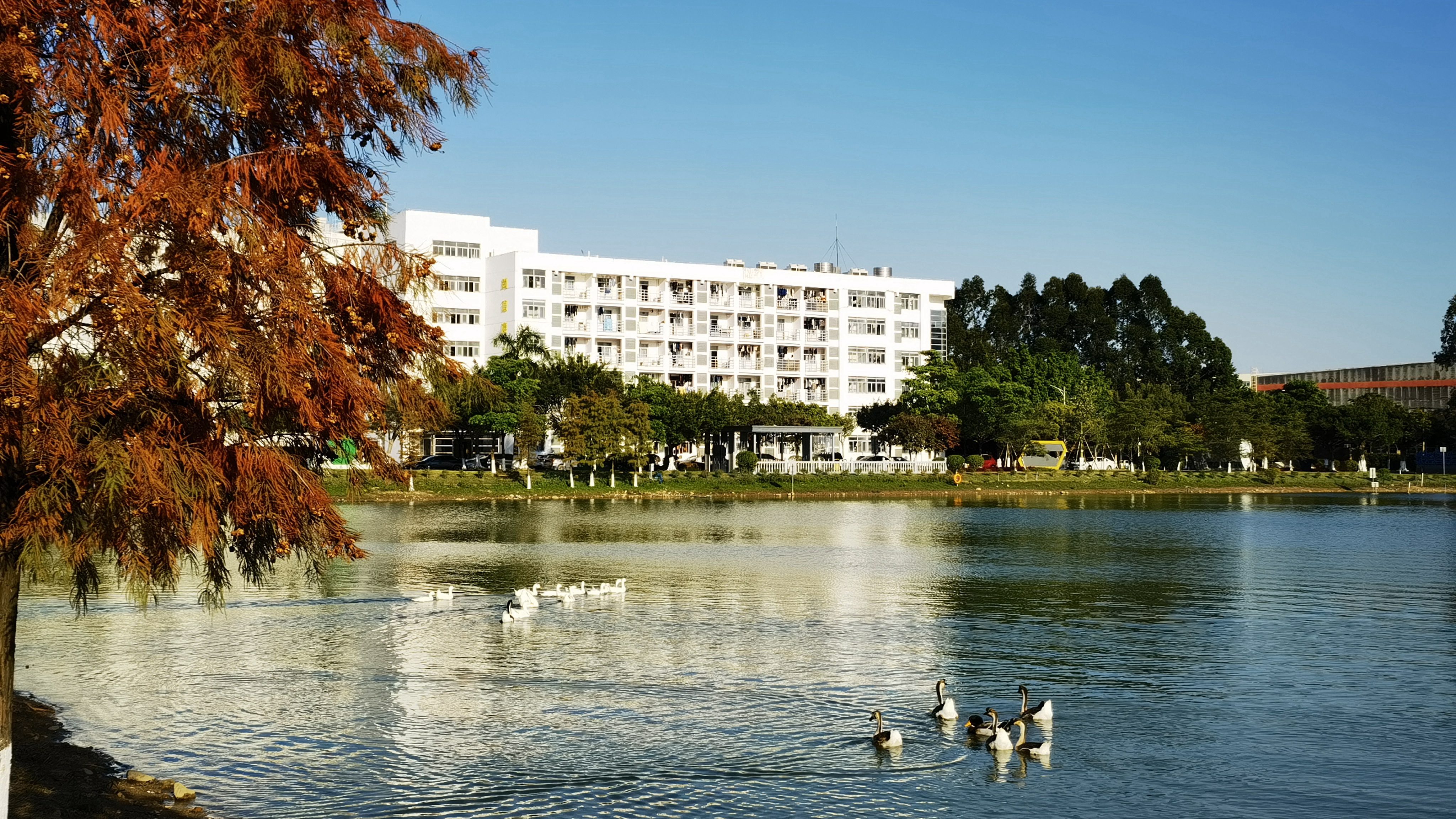 凯发一触即发(中国区)官方网站