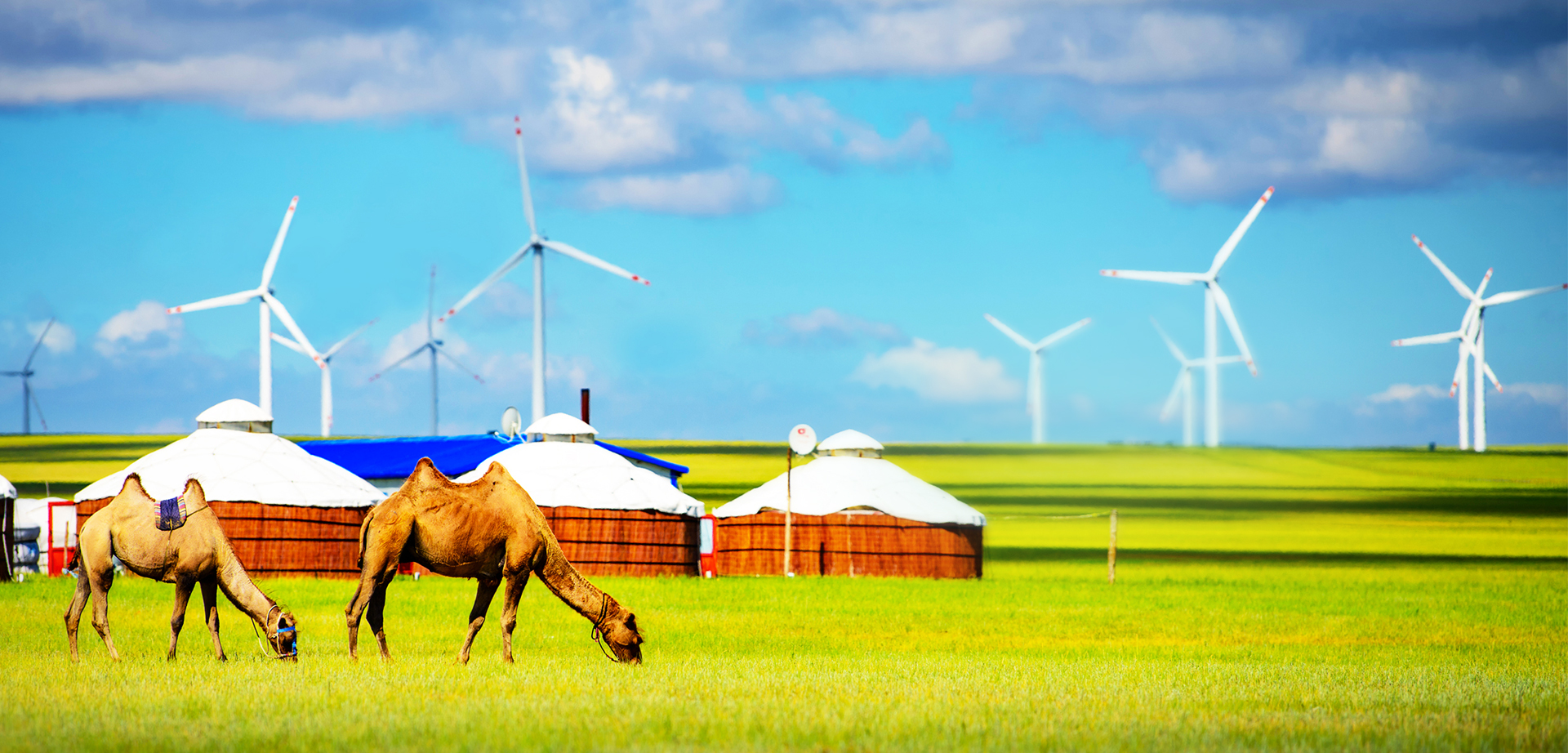 凯发一触即发(中国区)官方网站