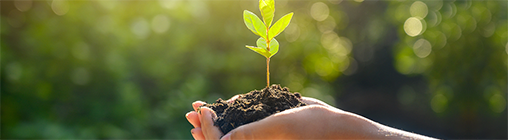 凯发一触即发(中国区)官方网站